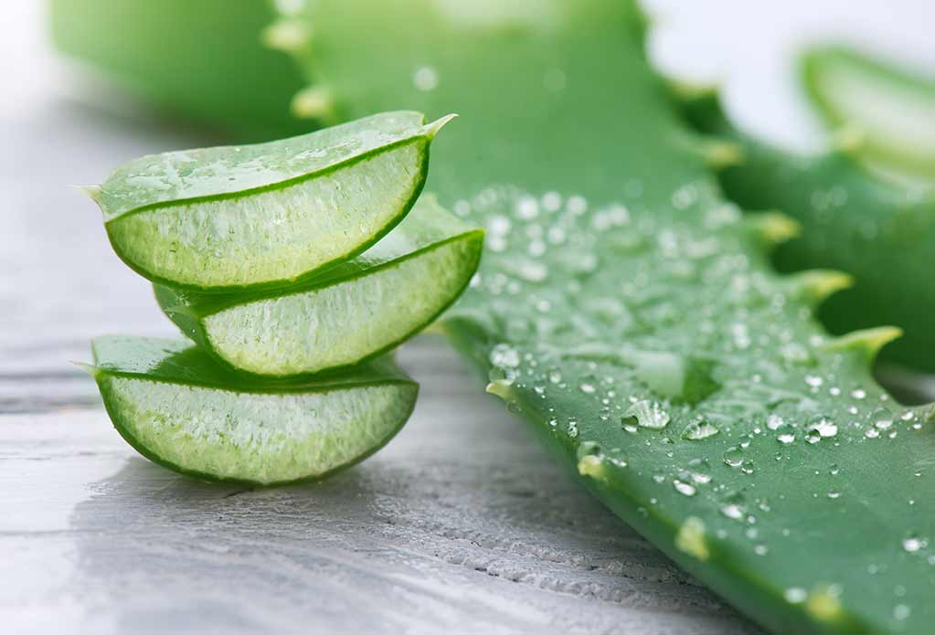 4 gute Gründe warum Aloe Vera trinken gesund ist